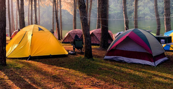 Палатки и спальники